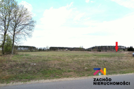 Działki budowlane 10 km od Torzymia